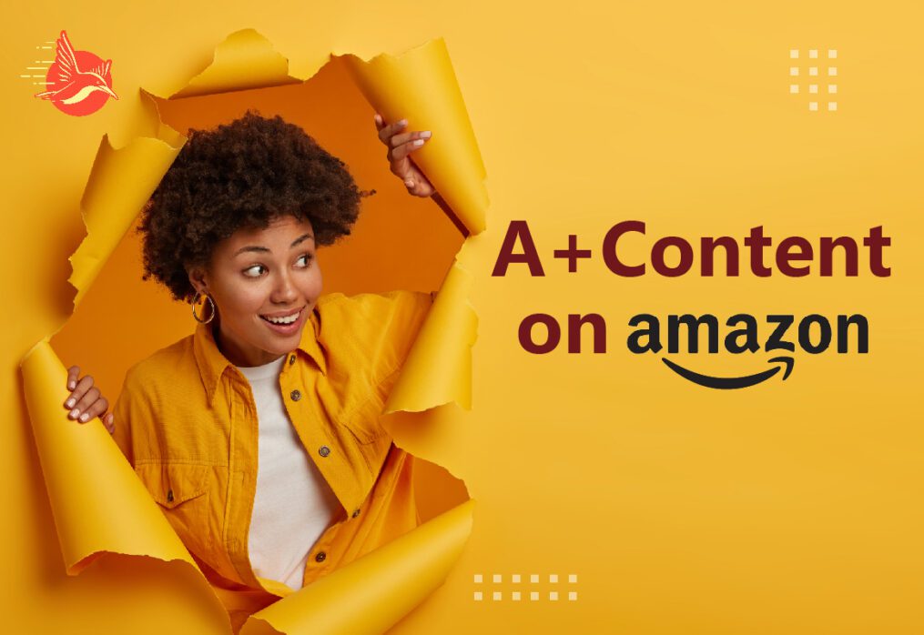 A+ Content on Amazon: Maximizing E-commerce Success