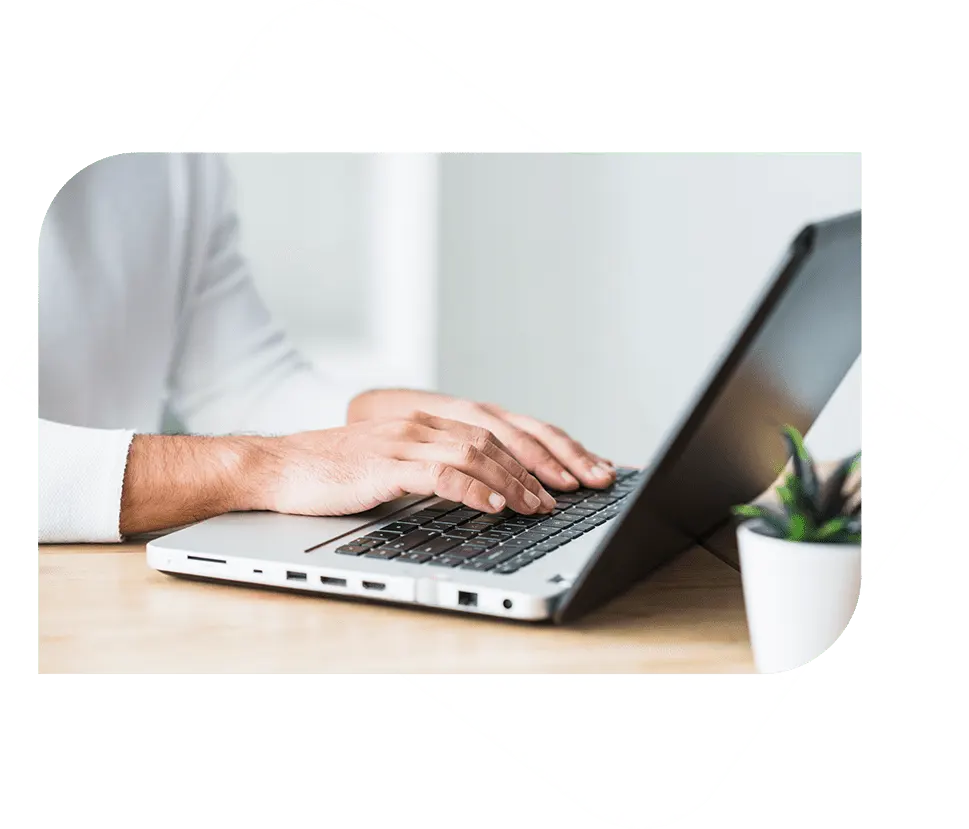 Hands typing on a laptop with a small plant in the background